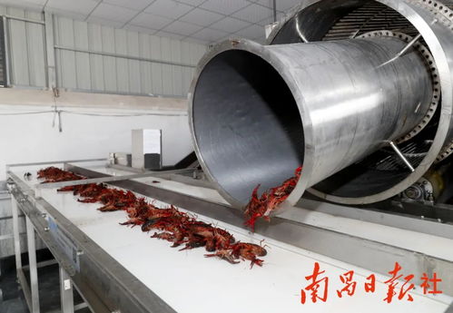 正式投产 南昌首条小龙虾预制菜生产线来了